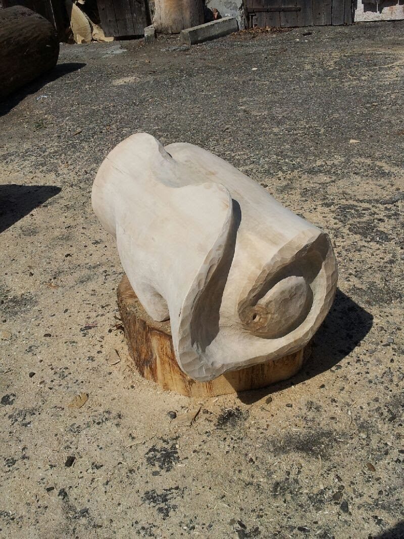 Image 24